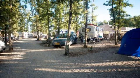 Standard campingplads